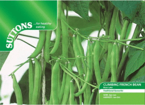 Suttons Climbing French Bean green stringless pods, sweet tender flavor, 15cm long, ideal for supports - Keans Claremorris
