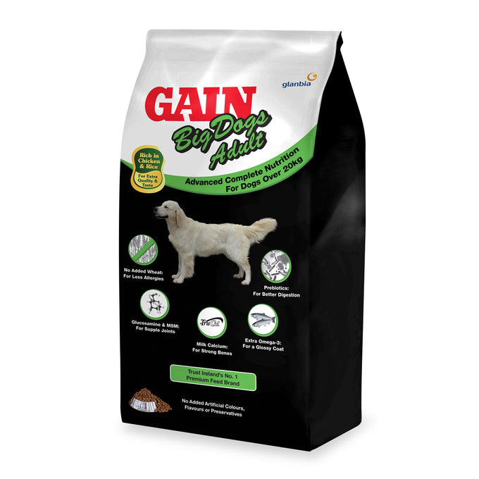 Gain Elite Big Dog Food Adult 3kg bag, advanced nutrition for dogs over 20kg, omega 3 & 6, protein-rich, Keans Claremorris.