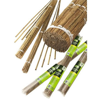 Grow It Bamboo Canes Bulk 20 Pack 120cm Natural Bamboo Supports for Climbing Plants - Keans Claremorris