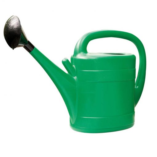 Green 10L plastic watering can with ergonomic handle and rose, ideal for seedlings - Keans Claremorris