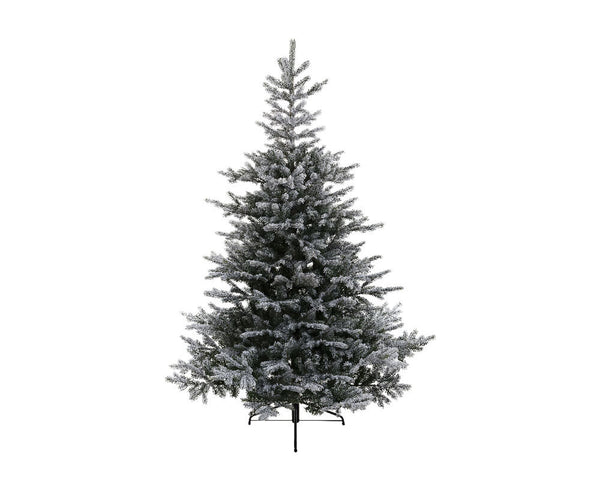 Grandis Fir Snowy Christmas Tree 210cm, 2,326 tips, hinged branches, snowy finish – premium quality by Keans Claremorris