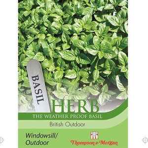 Herb Basil British Outdoor