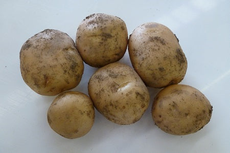 Home Guard Seed Potatoes UK/NI 3740 RP UK/NI 3324- - 10KG