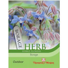 Herb Borage (Edible Flowers)