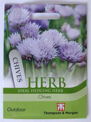 Herb Chives ideal for hedging, full sun, blooms June-July, perfect for patios and kitchen gardens - Keans Claremorris.