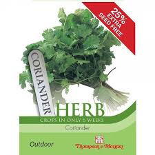 Herb Coriander (Crops In Only 6 Weeks)