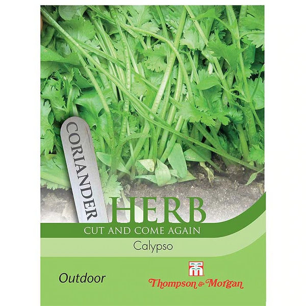 Herb Coriander Calypso seeds, 150 pack, hardy, bolt resistant, ideal for sun or semi-shade, Keans Claremorris.