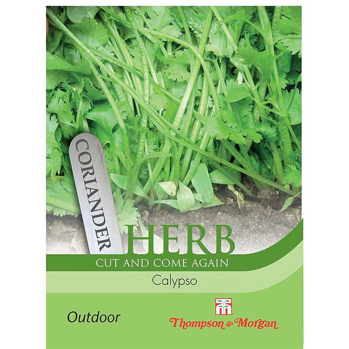Herb Coriander Calypso seeds, 150 pack, hardy, bolt resistant, ideal for sun or semi-shade, Keans Claremorris.