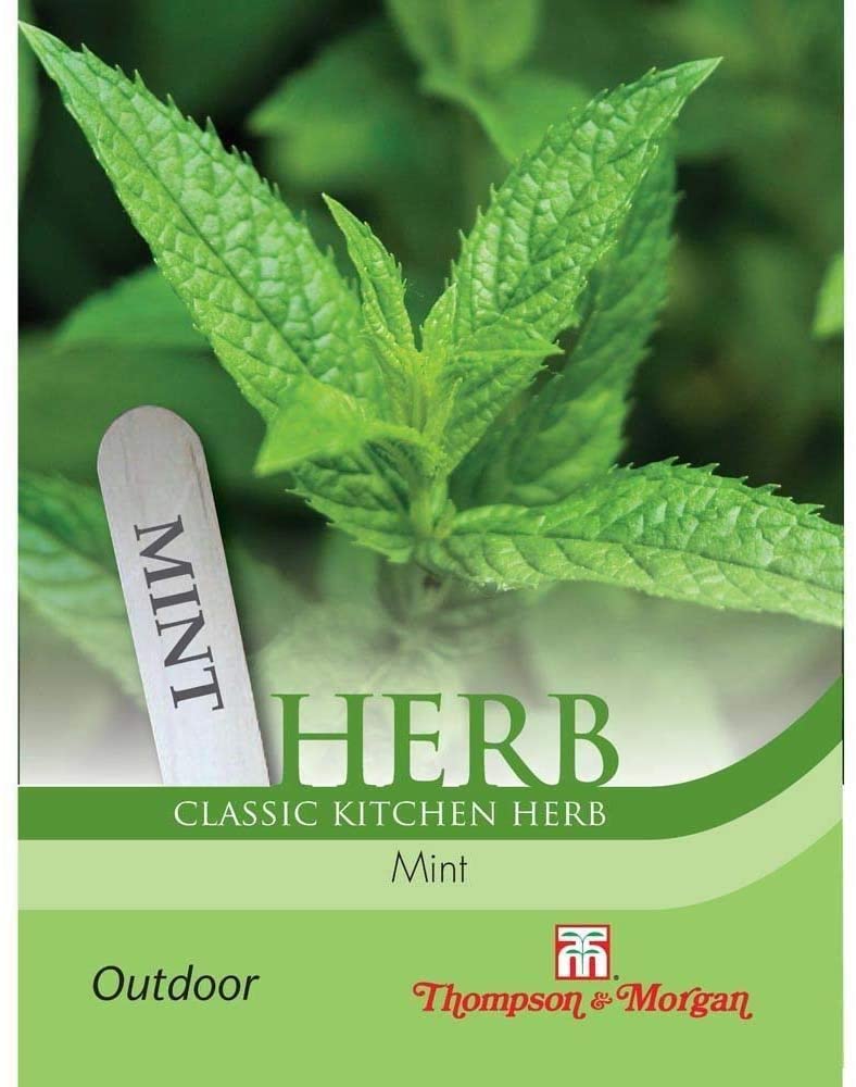 Herb Mint