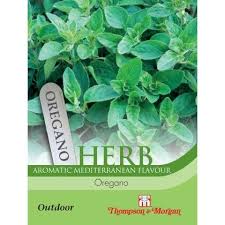 Fresh and aromatic Herb Oregano plant, perfect for Italian cooking and companion planting – available at Keans Claremorris.
