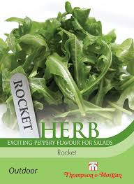 Fresh Herb Rocket leaves for salads and cooking, easy to grow from seed – available at Keans Claremorris.