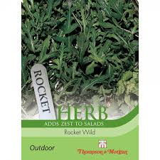 Herb Rocket Wild with deep green serrated leaves, strong flavor, perfect for salads, easy to grow – Keans Claremorris