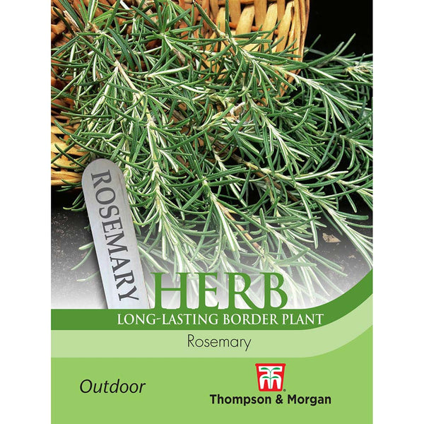 Herb Rosemary plant, hardy, full sun, ideal for kitchen gardens, fragrant for cooking and tea, 150cm tall - Keans Claremorris