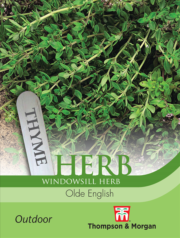 Herb Thyme Olde English