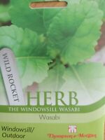 Herb Wild Rocket Wasabi leaves with spicy wasabi flavor, hardy, sun or semi-shade, ideal for salads – Keans Claremorris