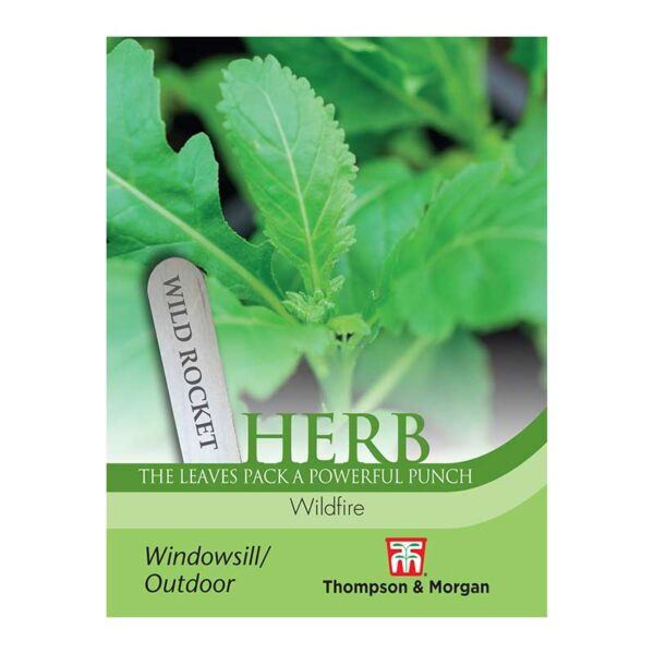 Herb Wild Rocket Wildfire with broad, serrated leaves and intense flavor, 500 seeds pack – Keans Claremorris.
