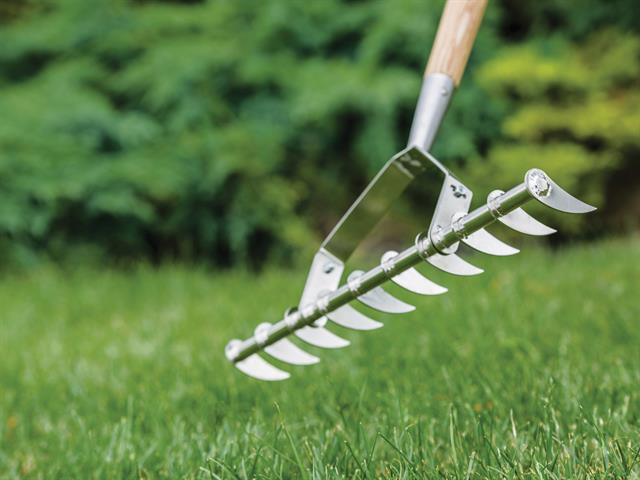 Kent & Stowe Stainless Steel Long Handled Scarifying Rake for garden lawn care - available at Keans Claremorris