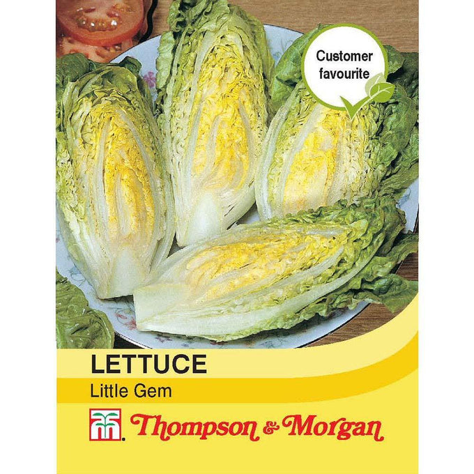 Lettuce Little Gem seeds, early maturing compact crisp sweet lettuce, 1000 seeds, ideal for kitchen garden – Keans