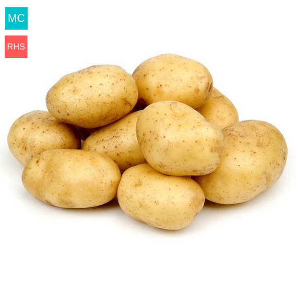 Main Crop Maris Piper Seed Potatoes 5kg bag, ideal for chips and roasting, high yield, award-winning variety - Keans
