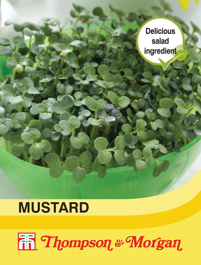 Mustard seeds for quick, nutritious salad and sandwich greens, easy to grow at home – Keans Claremorris.