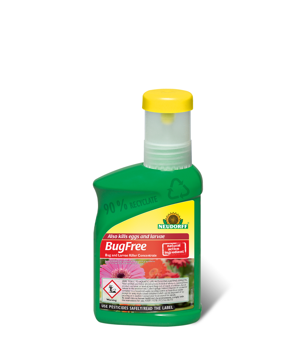 BugFree Bug and Larvae Killer Concentrate 250ml, controls insects and larvae on ornamental plants, available at Keans