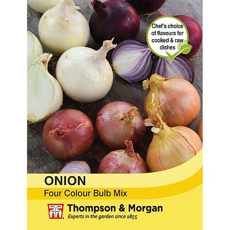 Onion Four Colour Bulb Mix