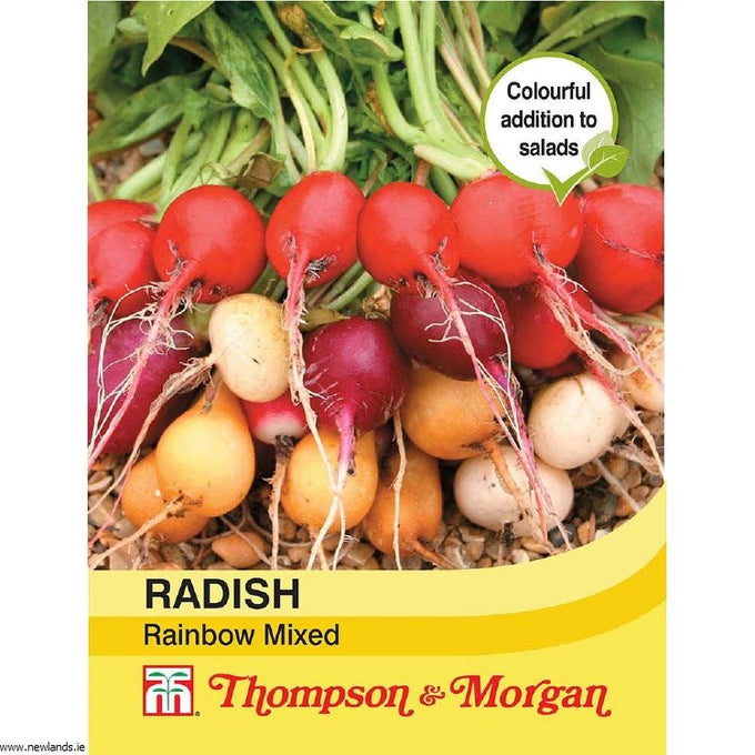 Radish Rainbow Mixed with colorful skins and crisp white flesh, perfect for salads. Available at Keans Claremorris.