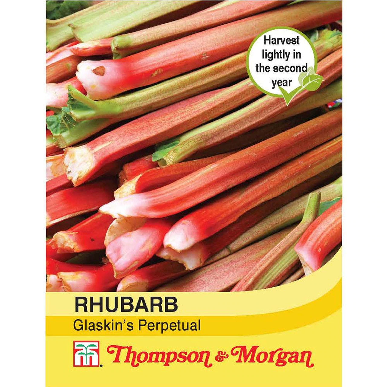 Rhubarb Glaskin's Perpetual