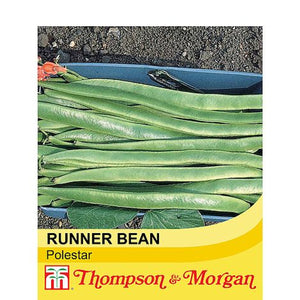 Runner Bean Polestar A4-J6
