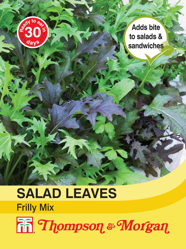 Salad Leaves Frilly Mix with crunchy textures and mild, spicy flavor, perfect for salads and sandwiches – Keans Claremorris.