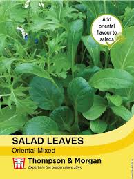 Salad Leaves Oriental Mixed blend with Mustards, Komatsuna, Mizuna for fresh salads, year-round harvest - Keans Claremorris