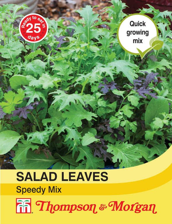 Salad Leaves Speedy Mix