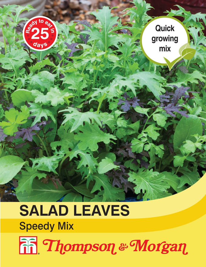 Fresh Salad Leaves Speedy Mix with rocket, cress, mizuna & pak choi, fast-growing for salads – Keans Claremorris.