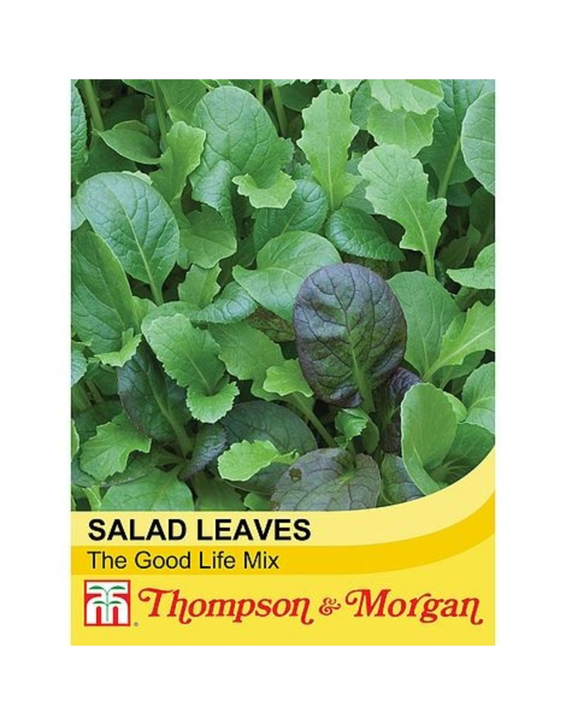 Salad Leaves Winter Greens - The Good Life Mixed