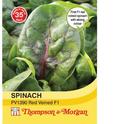 Spinach PV1390 Red Veined F1