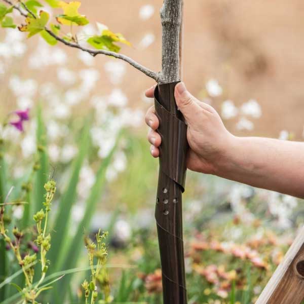 Spiral Tree Guard 60cm protecting young trees, durable design – available at Keans Claremorris.