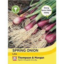 Spring Onion Lilia