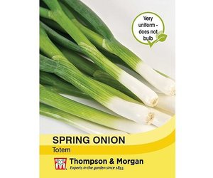 Spring Onion Totem