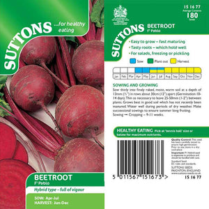 Suttons Beetroot F1 Pablo