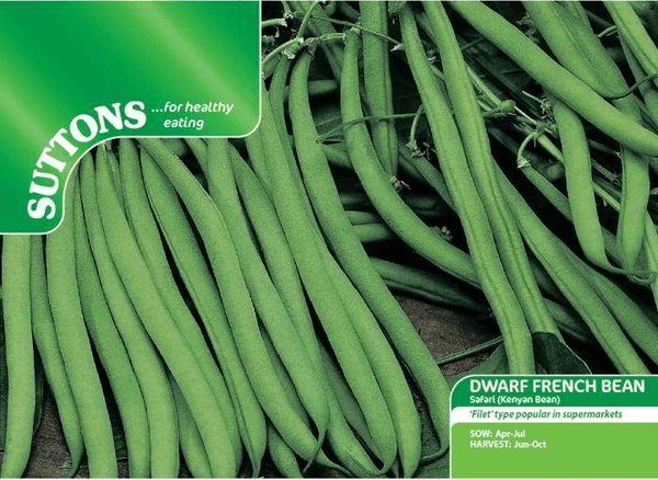 Suttons Dwarf French Bean Safari - slender dark green stringless pods, 11-12cm, quick cook, RHS Award winner | Keans