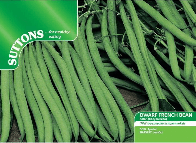Suttons Dwarf French Bean Safari - slender dark green stringless pods, 11-12cm, quick cook, RHS Award winner | Keans
