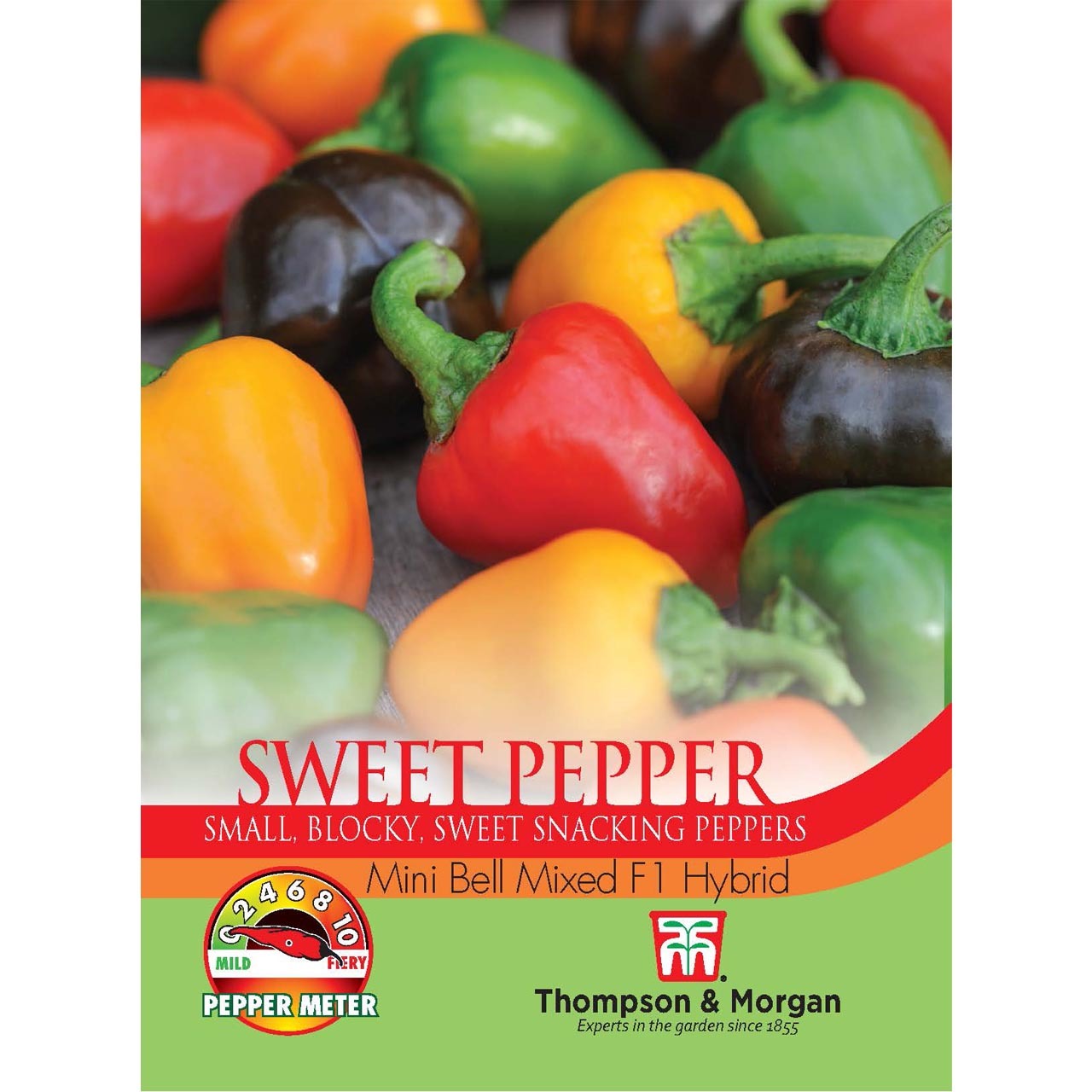 Sweet Pepper Small Blocky, Sweet Snacking Peppers (Mini Bell Mixed F1 Hybrid)