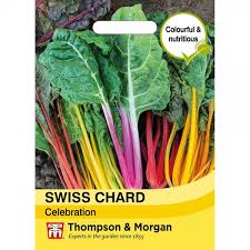 Swiss Chard Celebration with colorful stems and savoyed leaves, edible and ornamental, from Keans Claremorris.