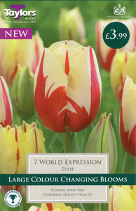 World Expression Tulip Pack of 7