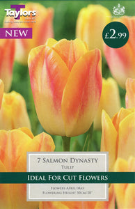 Salmon Dynasty Tulip Pack of 7
