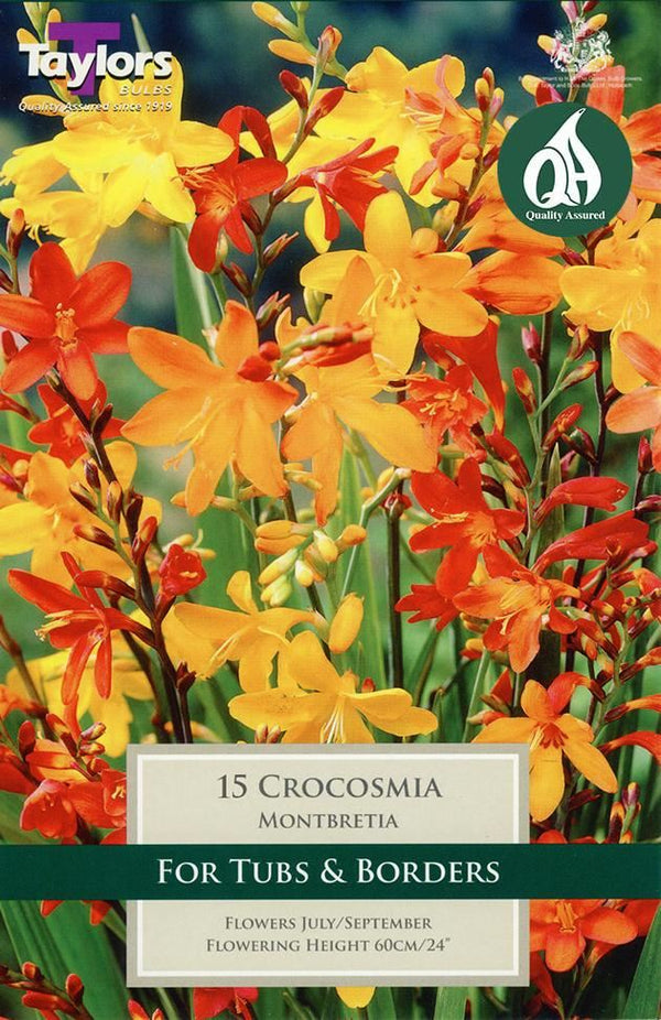 Montbretia (5Up) Pack of 10 - KeansClaremorris