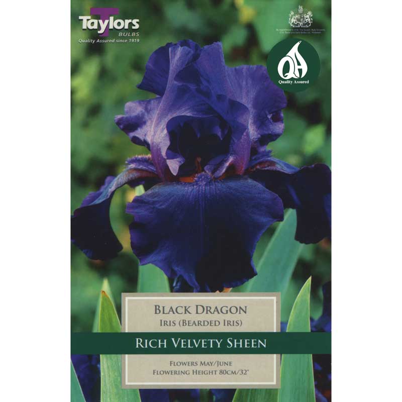 1 Iris Black Dragon