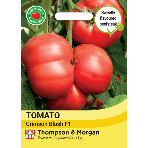 Tomato Crimson Blush Blight Resistant F1 (Rose Crush)  F2-A4
