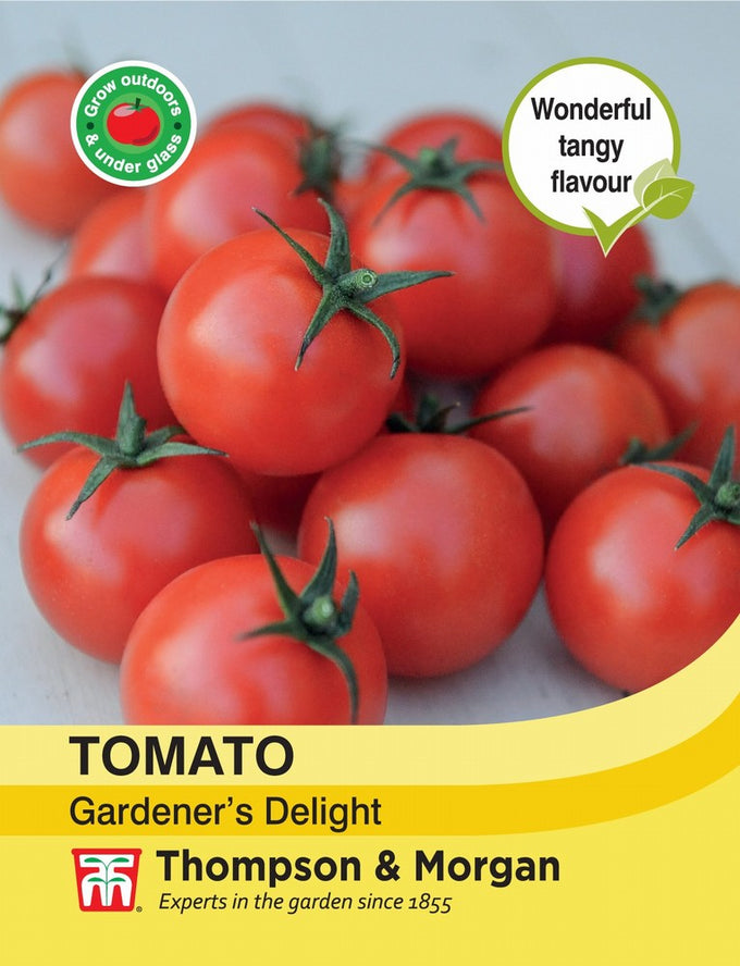 Tomato Gardener's Delight indeterminate variety with tangy bite-size fruits, ideal for salads, from Keans Claremorris.