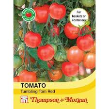 Tomato Tumbling Red